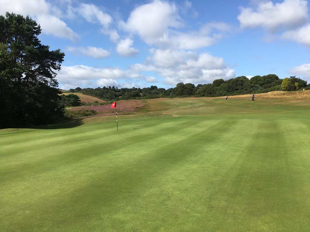 East Devon Golf Club tweet media