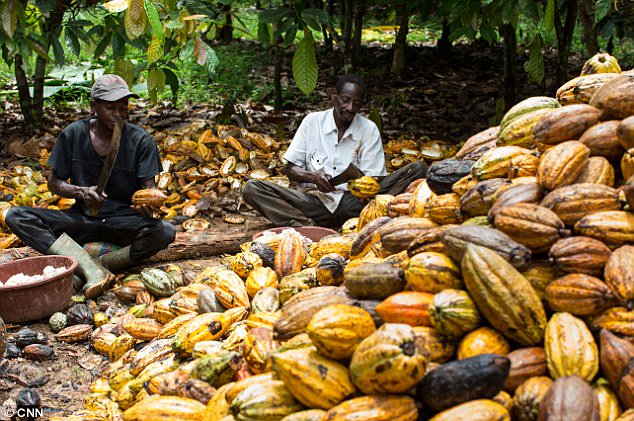 PabloAmotto's tweet photo. Africa is quite rich yet remains a "beggar". Picture from Kupe Munenguba-Cameroon https://t.co/129hcL4sP2