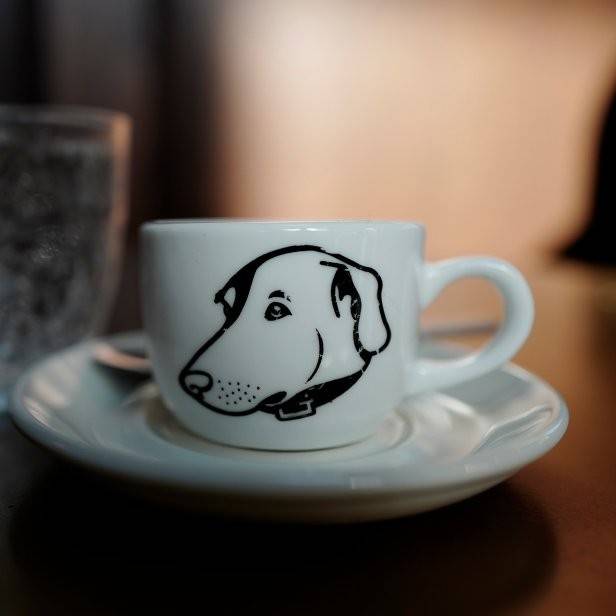 HSpeterborough's tweet photo. An early morning reminder that we're ready to serve you some breakfast at Ricky's All Day Grill - Peterborough from 7am till 10am! Join us to learn more about Strutt Your Mutt and to meer our team! #breakfast #ptbo @ptbochamber @Ptbo_Canada https://t.co/xFtVzgqF7x