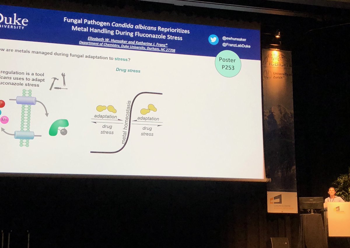 FranzLabDuke's tweet photo. Great flash talk @ewhunsaker #icbic2019! Condensing PhD message into 1 minute takes poise and talent. Well done! https://t.co/ktPeSsHfNZ