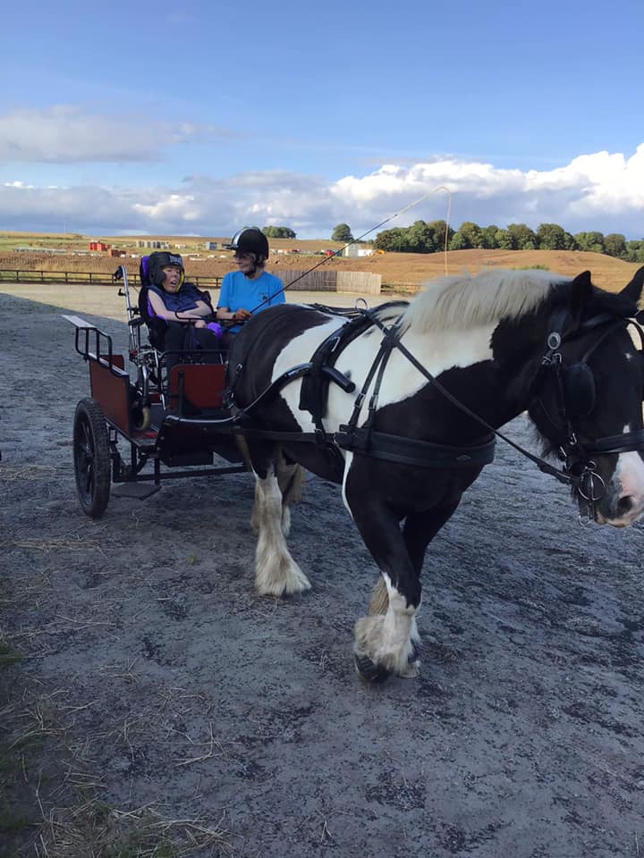 CornerstoneScot's tweet photo. Sharon and Heather were supported by our fabulous #TeamKeswick to do some horse carriage riding at The Brae Riding for the Disabled last night. They had an amazing time and even got to feed the horses a wee treat! 🐎
#RidingForDisabled #LivingAValuedLife https://t.co/T5aaUYwlLb