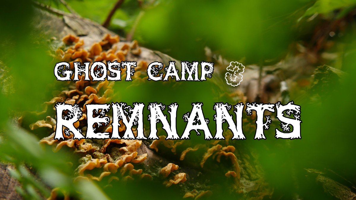 👁‍🗨✨✨✨'Ghost Camp 3 - Remnants' exhibition opens from 6-9pm tonight at Chaos Magic ✨✨✨ 👁‍🗨#themycologicaltwist #trollstories <a href="/BACKLITgallery/">BACKLIT</a> @joewinsborrow <a href="/HardSessions/">hard-core</a> @AJ_deBoer <a href="/eloisebonneviot/">eloïse bonneviot</a> <a href="/WeArePrimary/">Primary</a> <a href="/Nottm_Contemp/">Nottingham Contemporary</a> <a href="/1ThoresbySt/">One Thoresby Street</a> 
chaosmagic.space/ghost-camp-3-r…
