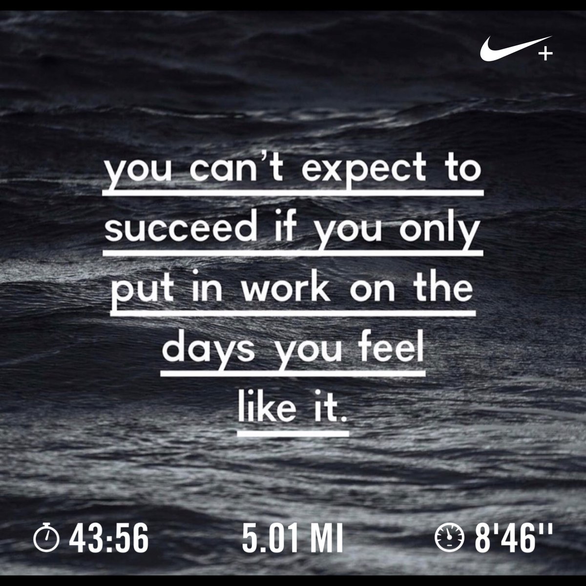 shannoncapezza's tweet photo. Even on days when we all would have rather stayed in bed we got it done! Great job ladies! Ursula @charityltull @KellyLangs #nodaysoff #floridarunners #damnitshot https://t.co/CYHuvvv0j7