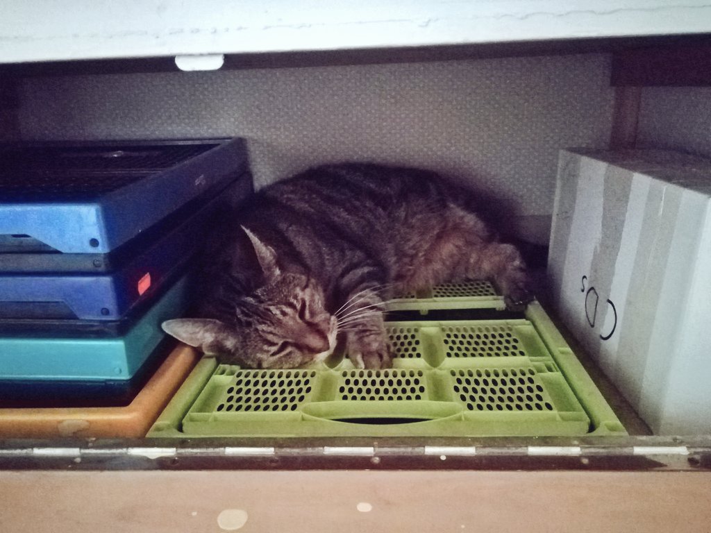 warmphilip's tweet photo. I live heer now… https://t.co/otXZseGk20