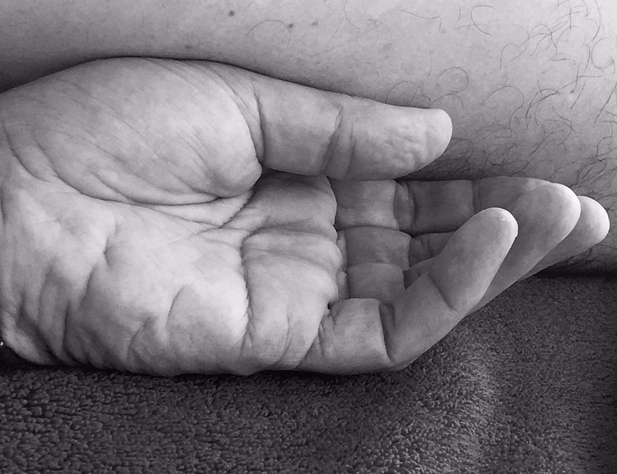 Sebastià Perelló tweet media