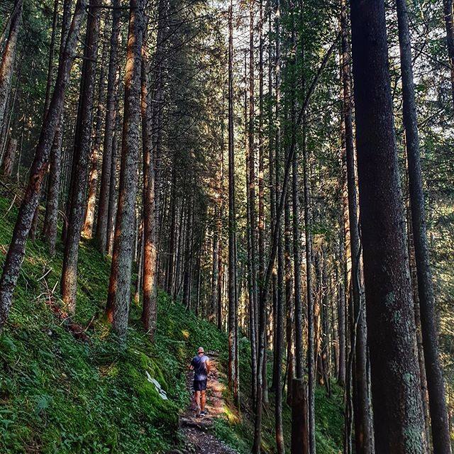 Ian_Pyott's tweet image. I love my forest loop 📸 @rogerserrano @grindelwald_eiger ##grindelwald #on #onrunning #trailrunning ift.tt/2OZvqcC ift.tt/1qCVNQo