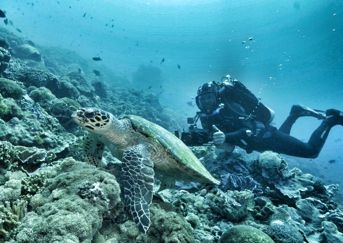 Steve Backshall tweet media