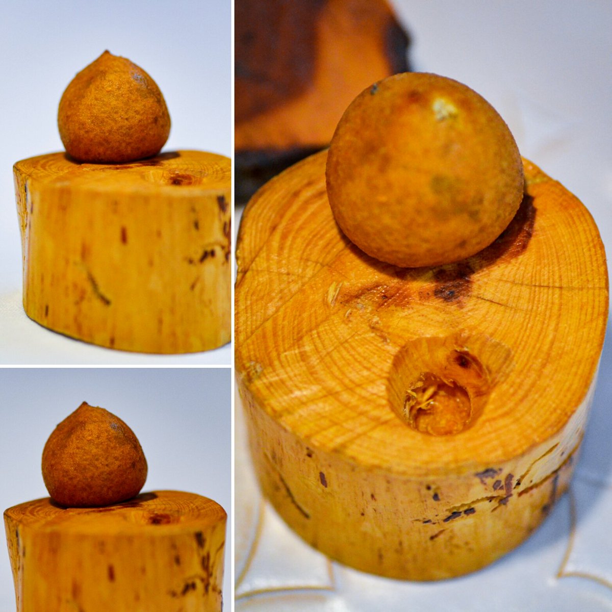 MejorDeLaGastronomia tweet media