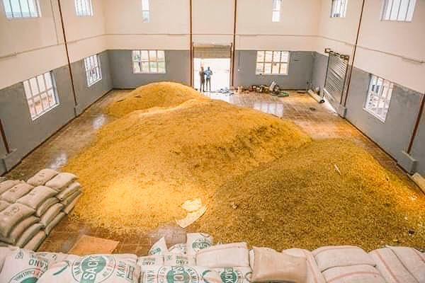JaafarUmarAbba's tweet photo. Kogi has what it takes to be the centre of commerce in Nigeria. I like the fact that Gov. Bello has built this rice mill to supply the demand of Kogi citizens & provide opportunity for rice farmers to supply outputs to a ready market.Great initiative in Kogi West district.
#GYBx2 https://t.co/xvs5BY1rbR