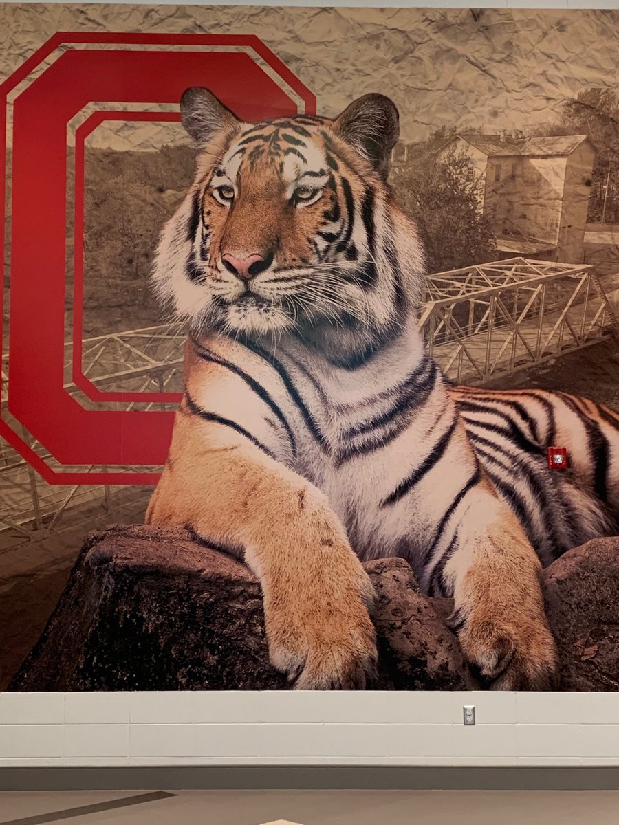 Philip Link, EdD (@plink314) on Twitter photo Good morning Tigers! Welcome to the 2019-20 School Year. We can’t wait to meet you! <a href="/OzarkTigers/">Ozark Schools</a> @OzarkJRHigh Good morning Tigers! Welcome to the 2019-20 School Year. We can’t wait to meet you! <a href="/OzarkTigers/">Ozark Schools</a> @OzarkJRHigh
