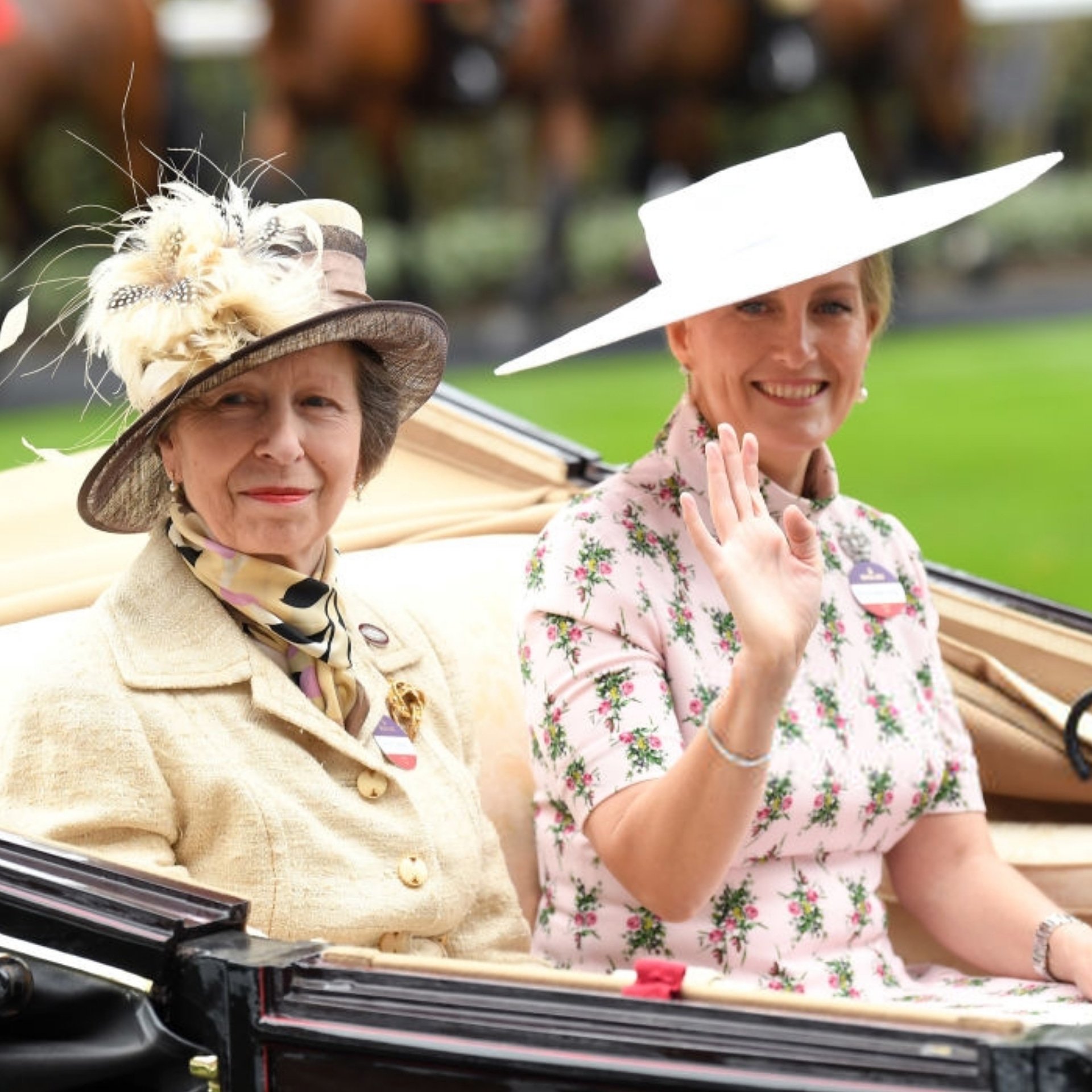 Happy Birthday Princess Anne! 