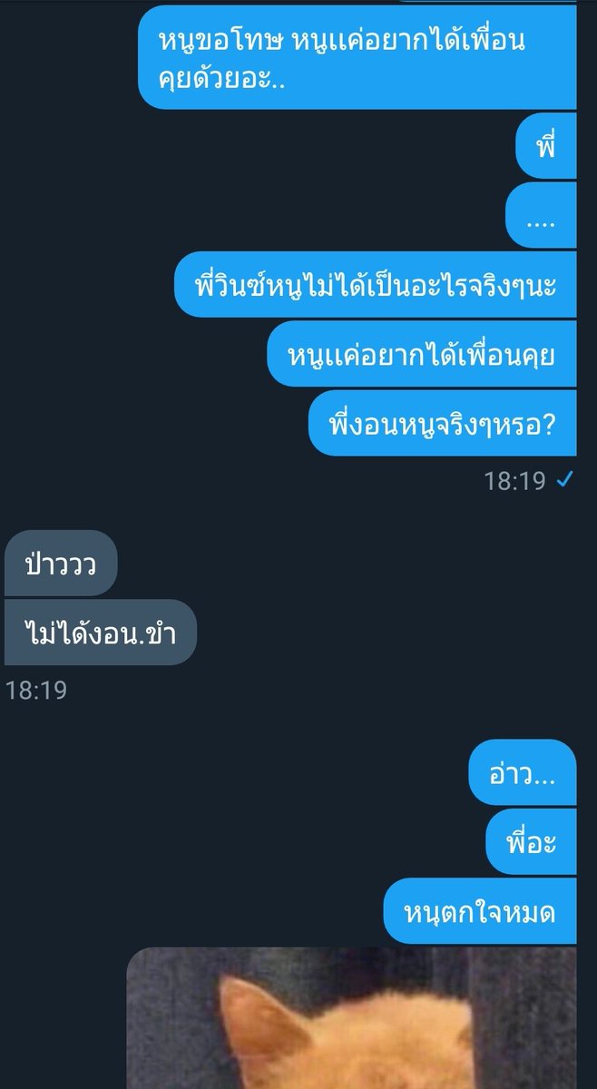 น้องเหมียวจะมาขิงคนหื่น~💕 tweet media