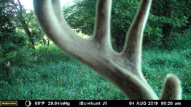 iBowhuntUS's tweet photo. @TylerJordan Southeast #Nebraska here. https://t.co/Asxh5aGazF