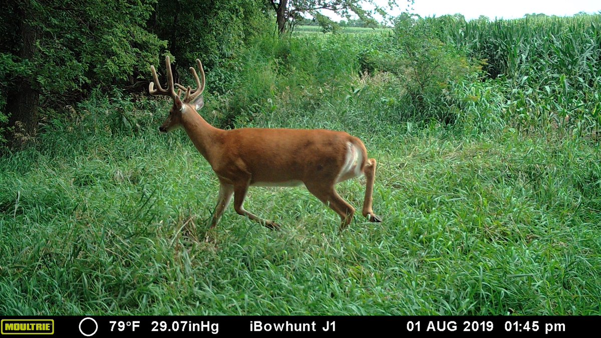 iBowhuntUS's tweet photo. @TylerJordan Southeast #Nebraska here. https://t.co/Asxh5aGazF