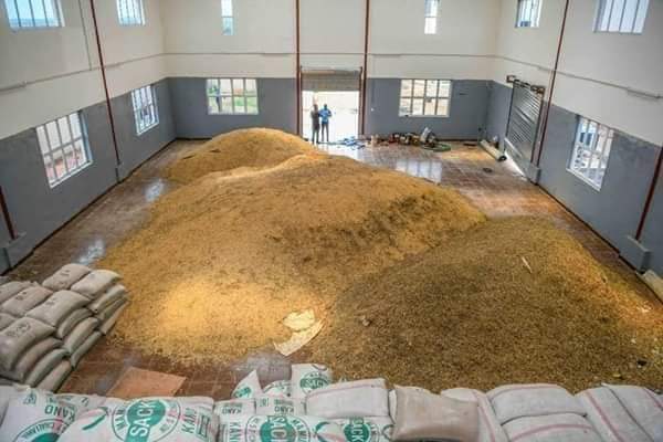 JohnFanimokun's tweet photo. In case you don't know, the Kogi Rice Mill Factory that was built by Gov Bello's administration will employ over 1000 farmers and youths. It is also the Second Largest in the Northern part of the country. https://t.co/u1cyuuNDtw