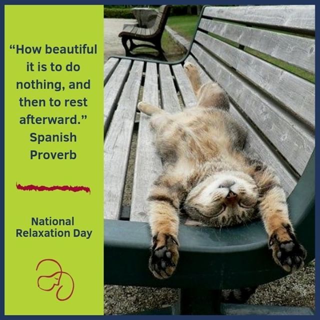 CrossRdsCampus's tweet photo. #NationalRelaxationDay #catsofinstagram #crossroadspets
.
.
.
.
#cats #kittensofinstagram #petsofinstagram #meow #catlovers #petowners #germantownnashville #nonprofit #socialgood #dogood #homeless #germantown_nash #socialenterprise #shopandadopt https://t.co/bbU1UXbgBG https://t.co/JahDJUItIB