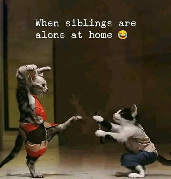 MNoncanda's tweet photo. 🤚🏽😒Am not a comedian okay but I just can't😂😂😂 https://t.co/C1TFsIsID6