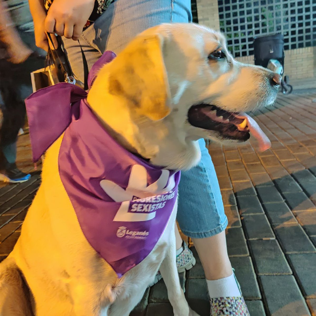 Anoche disfrutamos de la compañía  <a href="/Sambaiduria/">Sambaiduria Batucada</a> en nuestra caseta. Por un #leganesfeminista y vestimos pañoleta morada por unas #fiestaslibresdeviolenciasmachistas
#fiestasleganes2019
#FiestasLeganes19