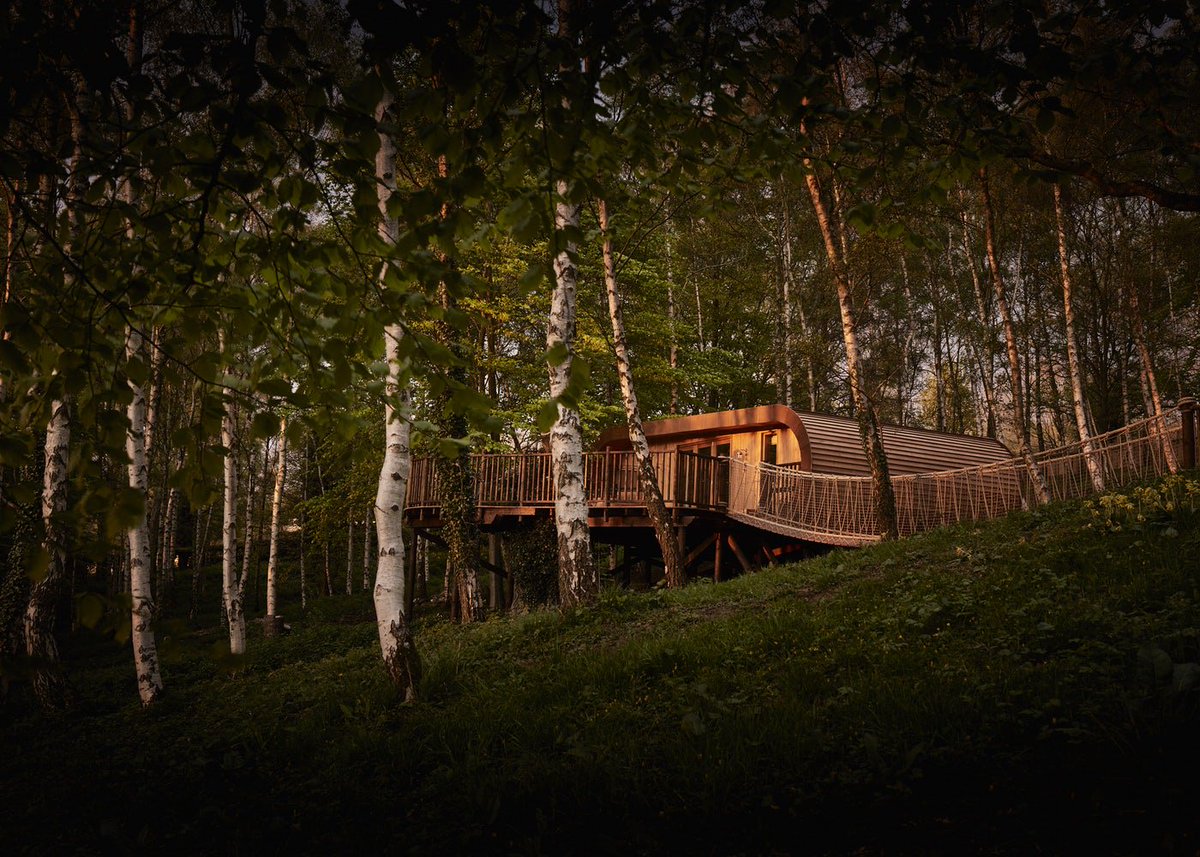 elementLondon's tweet photo. #Prize experiences come in all shapes and sizes. If you're after something #magical, this is just the spot 🌳✨ @TheFishHotel https://t.co/XRzbDFAtuW