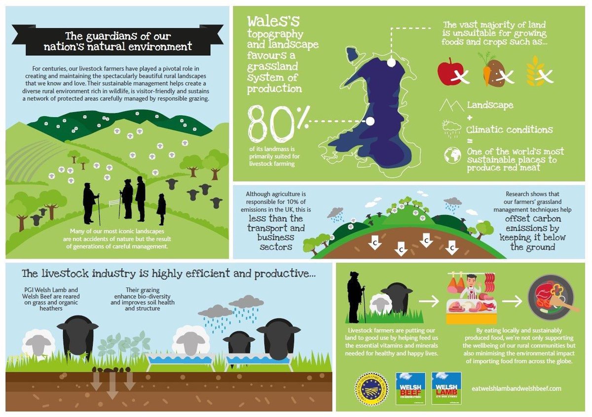 Lizbeth_Jones's tweet photo. @BBCWorld some actual facts for you @HybuCigCymru https://t.co/dFfp6EtCtM