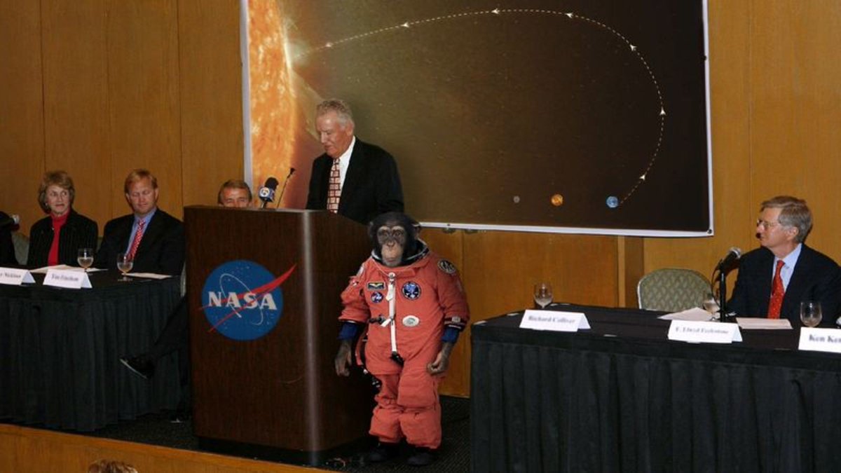 NASA Announces Plans To Launch Chimpanzee Into Sun trib.al/TSODmBa