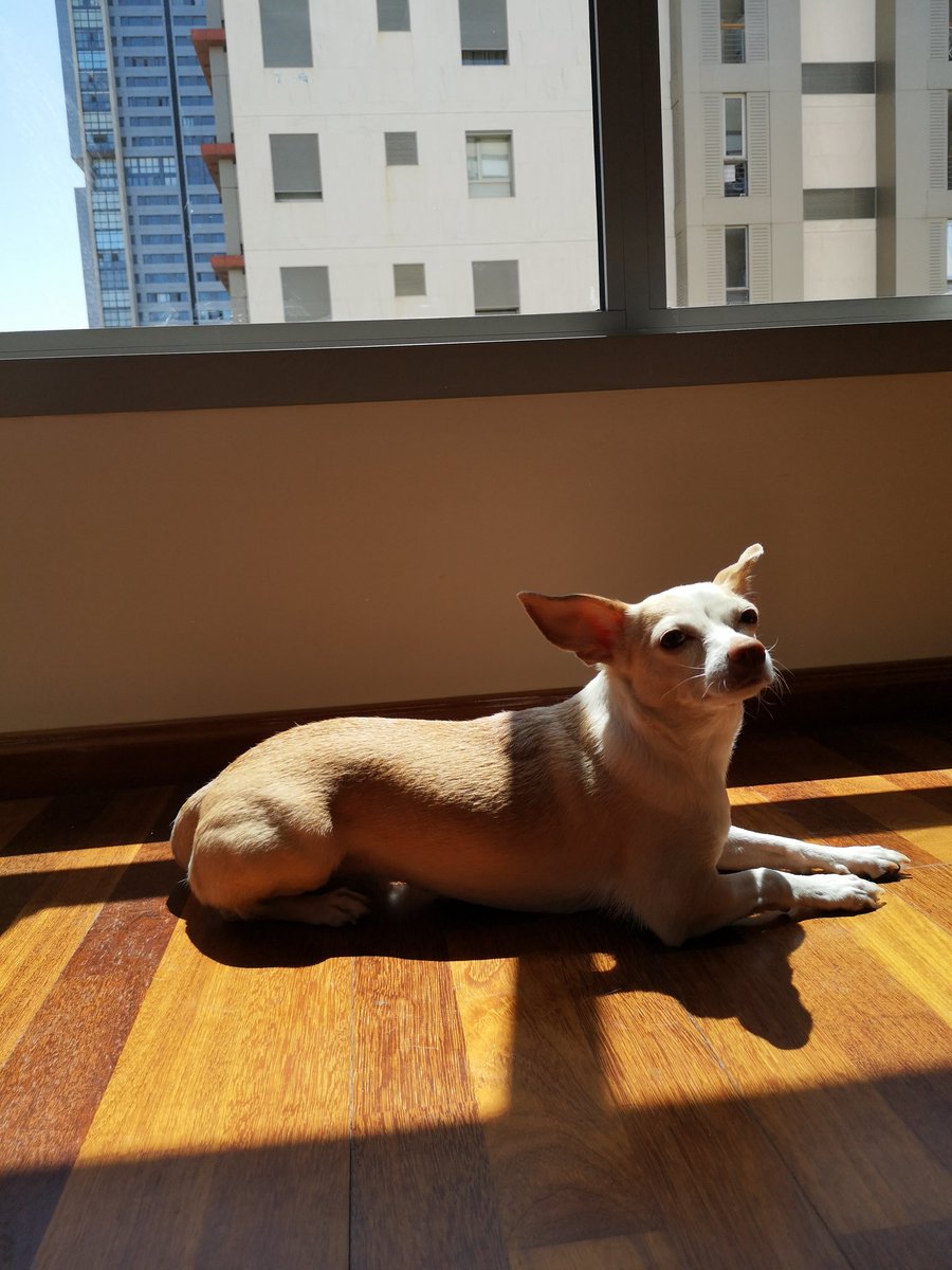 veroarado's tweet photo. Sunkissed season 2 https://t.co/aFoeMxJkjX