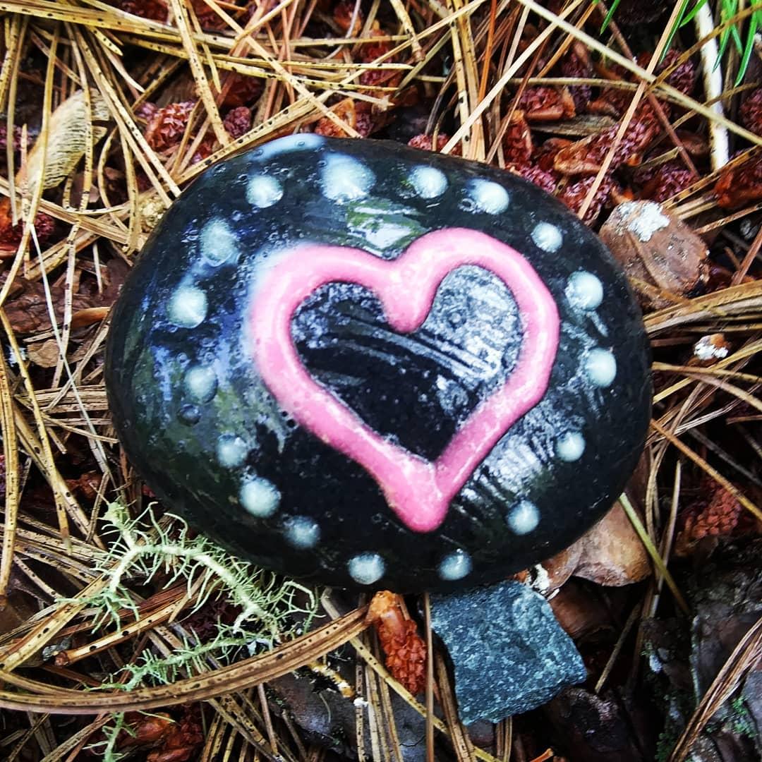 HollyMac84's tweet photo. Cute little #paintedrock found at Laurie #provincialpark last weekend. Re-hid at one of the Cape George look-off points https://t.co/u1Up9mEqhY