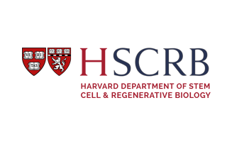 NICHE_ULSTER's tweet photo. Good luck to PhD researcher @Toni_Spence4 visiting the #Strominger lab at Harvard @hscrb to get exciting experience with Dr Tamara Tilburgs thanks to a travel grant from @britsocimm Look forward 2hearing all about yr week in Boston! πΊπΈ #immunology #collaborate #NICHESeychelles https://t.co/tujy4kwrqm
