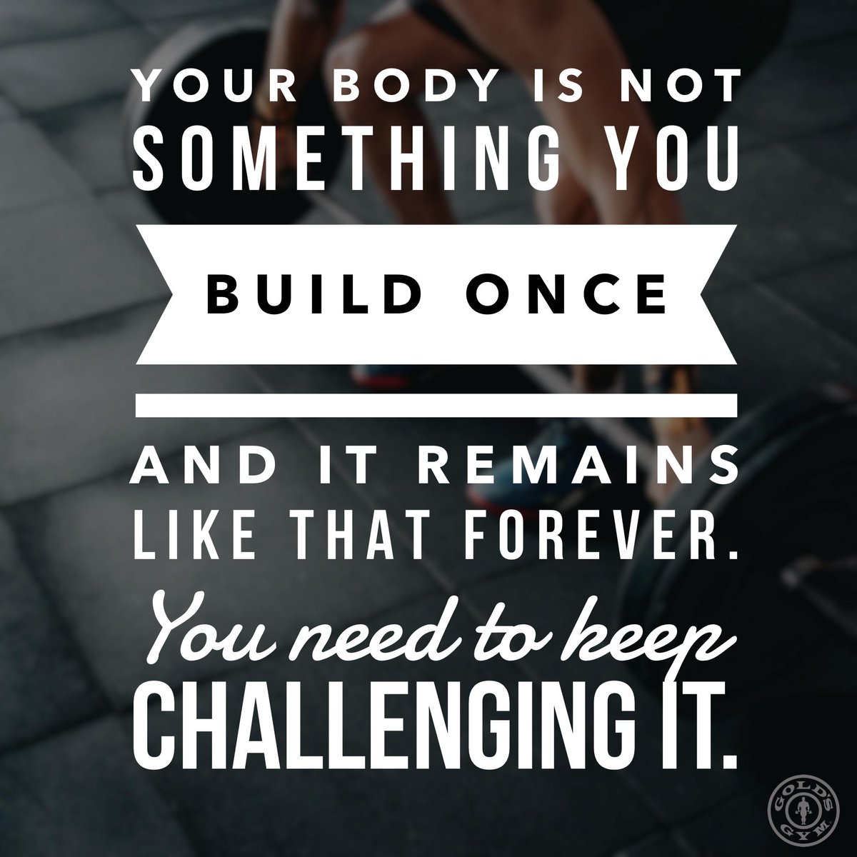 #goldsgym #buildyourbody #fitnessquotes #alwaysprogressing #gymlife #gymjunkie #fitlife #inspiration #workoutquotes #liveyourlife #bodybuilding #newchallenges #fitspo #fitspiration #gymmotivation #gymquotes #doitforyou #knowyourstrength #healthyliving #fitnesslifestyle #fitfreaks