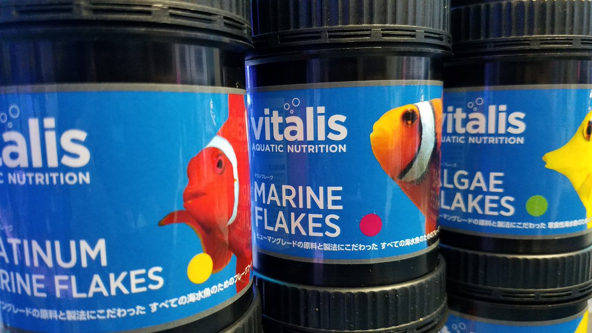 海水魚のエサ