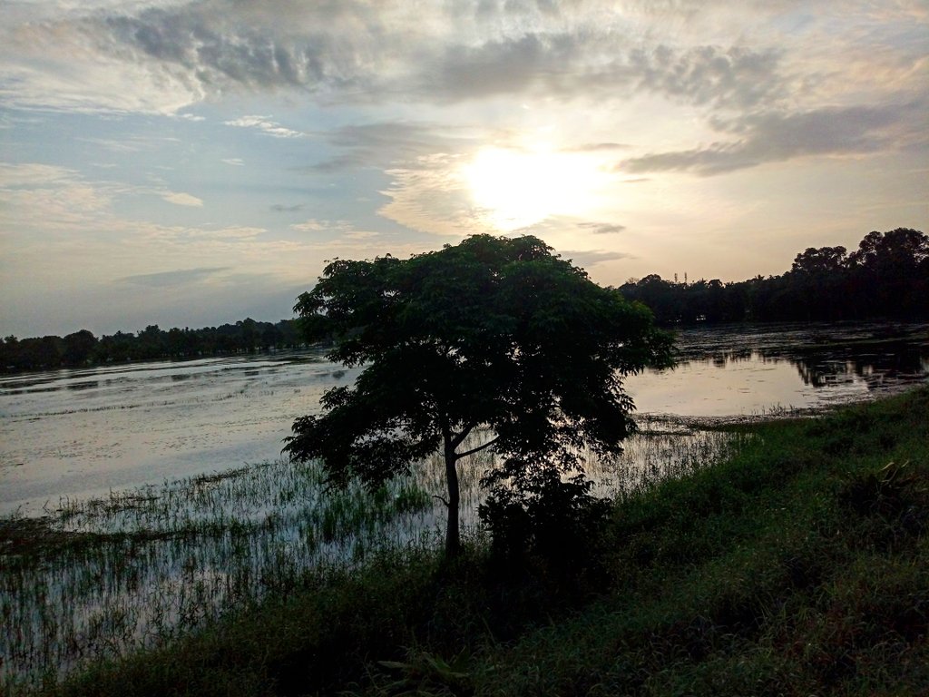 LijumolJoseph's tweet photo. Reminiscent of last rain
.
.
.
#KeralaRain2019  #KeralaRain  #farmer  #agriculture  #field  #dreams #nature https://t.co/7un4904pmY