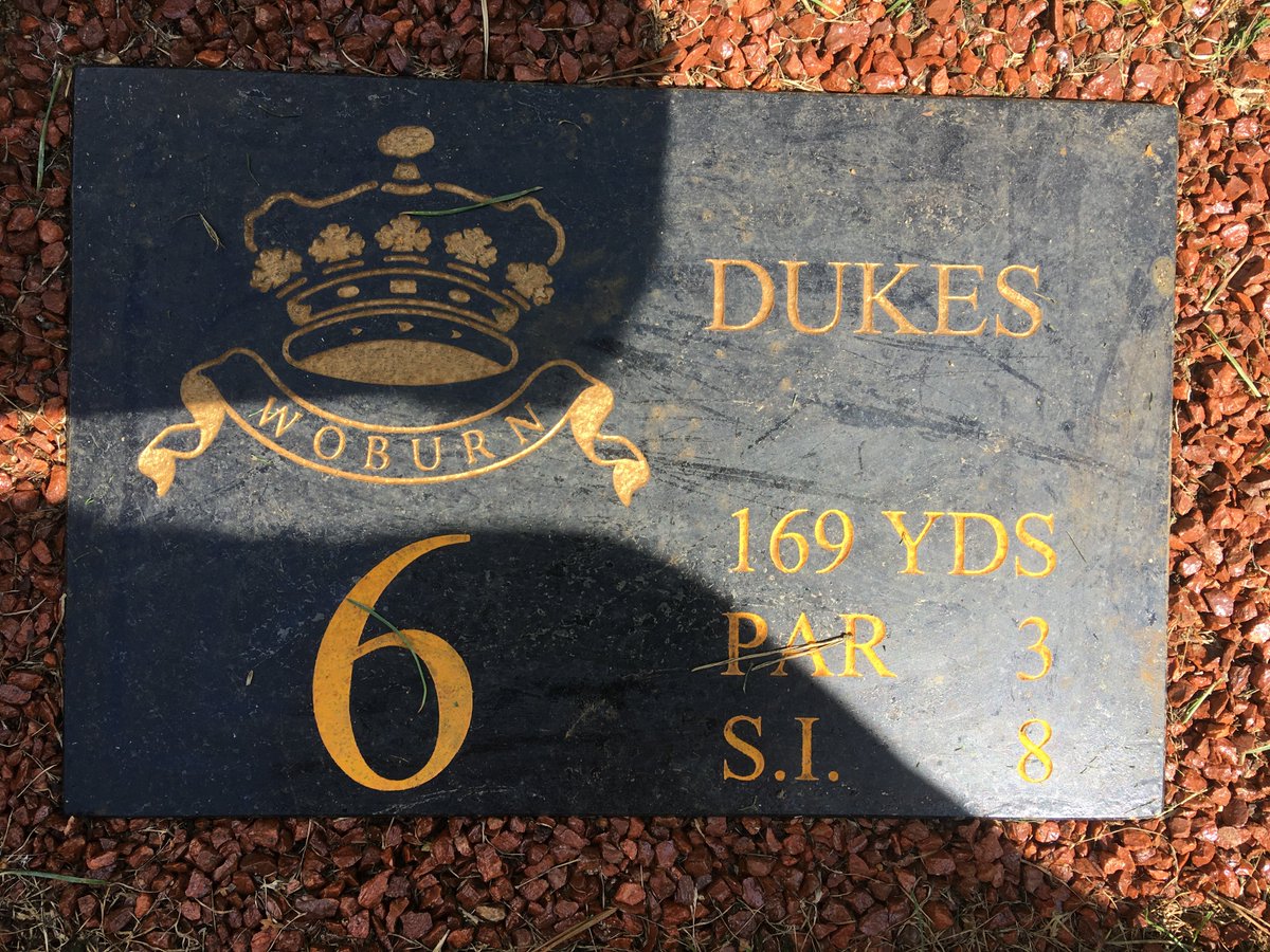 ESPLeisure's tweet photo. Dukes Course looking stunning for the @WoburnGC Classic today. ⛳️
Come on @leetjeff ! 🏆 https://t.co/UShWPkmxJ2