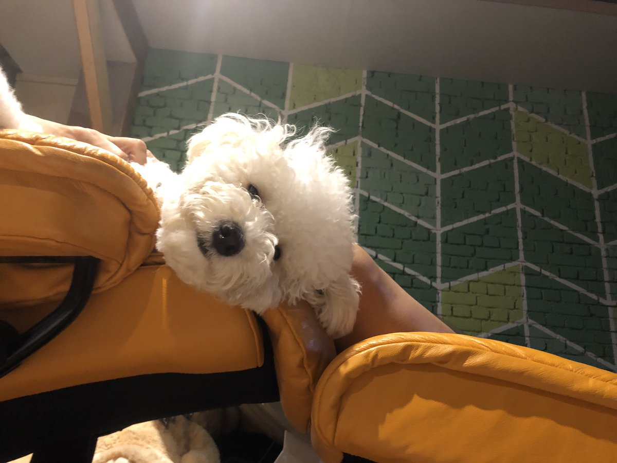 까꿍