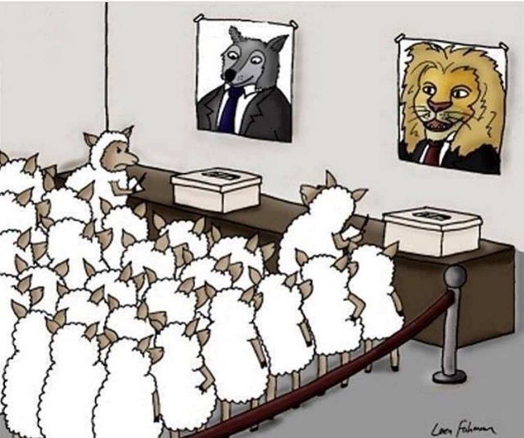 ellication's tweet photo. I'm not saying your vote doesn't matter. I'm saying, we're food to most of the people running. The least we can do is not be delicious. 😏 #TrueEDU https://t.co/WgmXhs4Owl