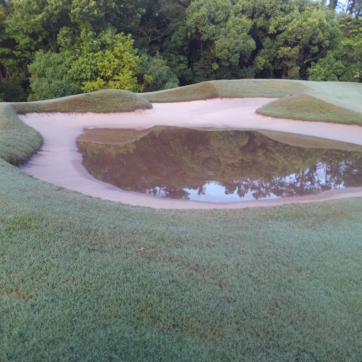 BryceGibson8's tweet photo. 1.7"🌧️🌩️ yesterday. This summer continues to show the degredation of our bunkers. 50% holding water, 100% with silt deposit in lows. #theworkcontinues until a real fix occurs. #needarebuild #turflife https://t.co/ZE2vvleH0G