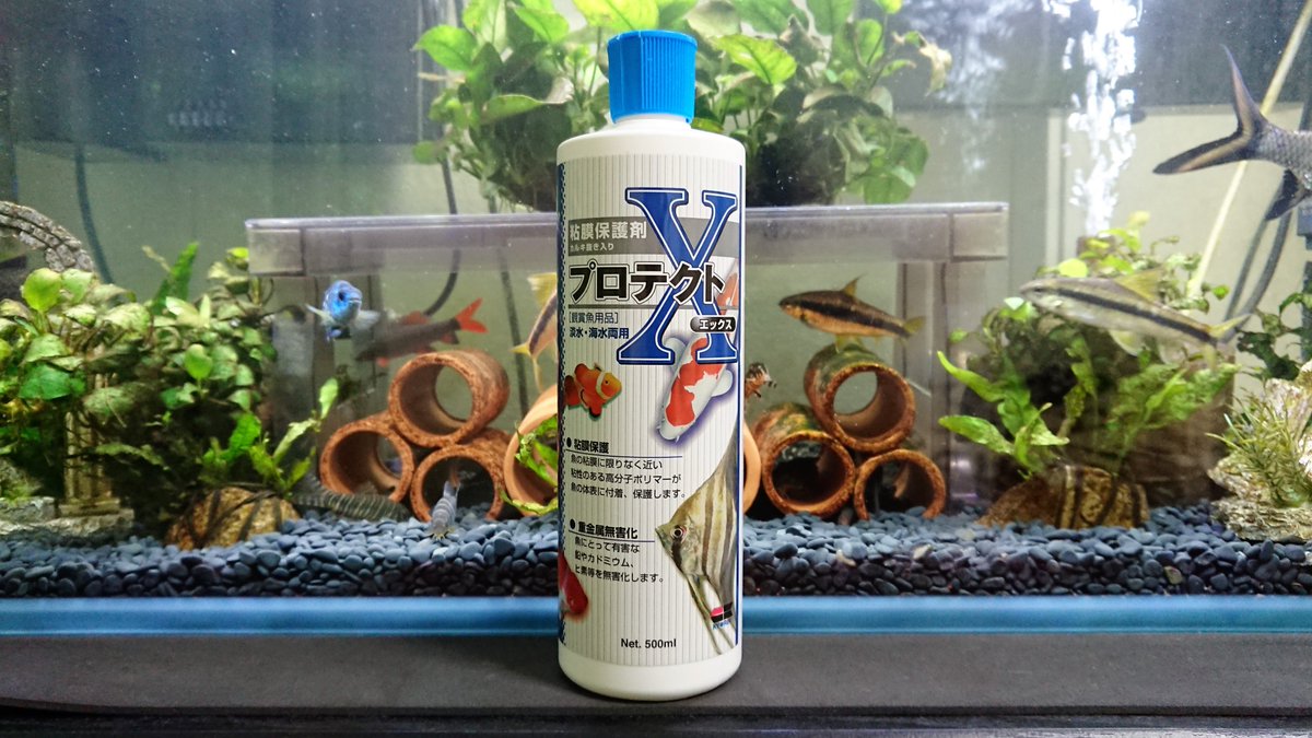 アクアマン 粘膜保護剤の プロテクトxを買いました 昔 ディスカス飼育の際に一時期使っていたのですが 効果の程は忘れてしまいました ヒレが傷ついてしまった熱帯魚の ヒレの再生に良さそうなので 今回プロテクトｘを買ってみました 熱帯魚