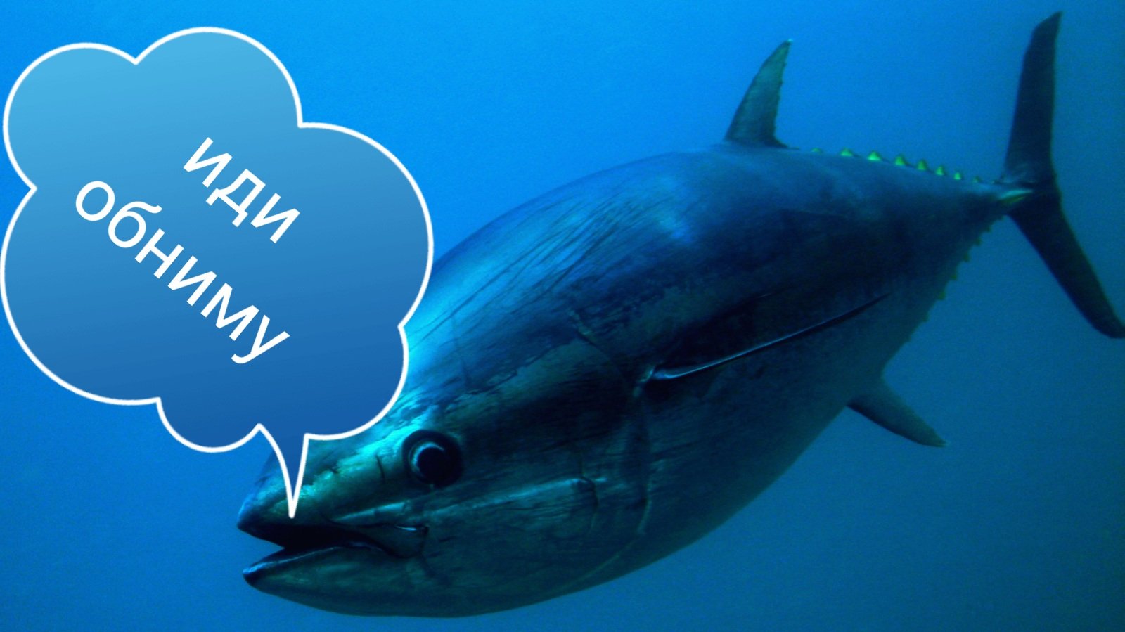 ECB0BuDXUAE6K_1.jpg:large