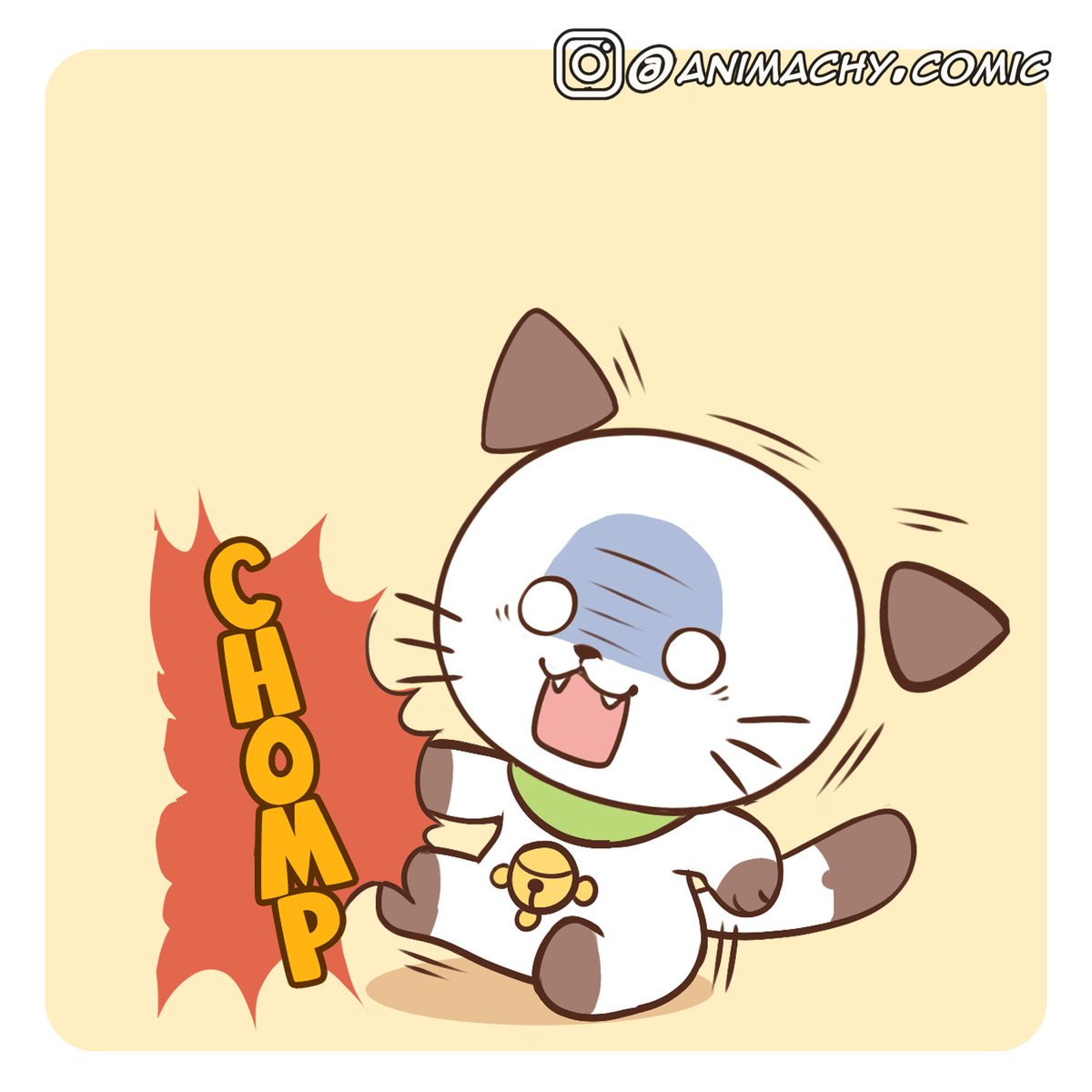 Ruugiaruu's tweet photo. Why do cat licks their paw? https://t.co/gbyGfA6x0p