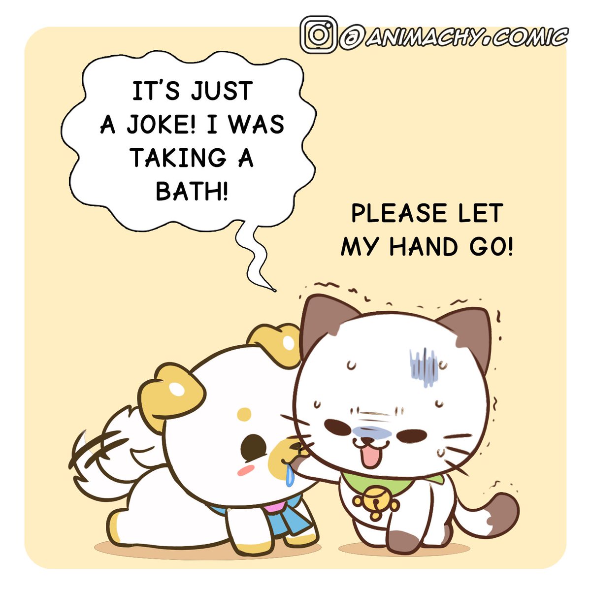 Ruugiaruu's tweet photo. Why do cat licks their paw? https://t.co/gbyGfA6x0p