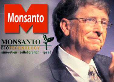 DanPeacock12's tweet photo. Everything now makes perfect sense!! Go talk to an organic farmer then a GMO farmer! Look at the crops GMO flourishes organic struggles! Then have a look around close at all your trees dying! These MFs or mixing glyphosate in with geoengineering! You can spray glyphosate on gmo! https://t.co/kf12k1hzxY