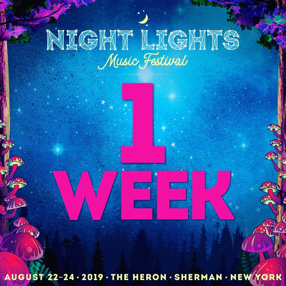 Don't have FOMO... Just GOGO! Grab tickets now at nightlightsfest.com