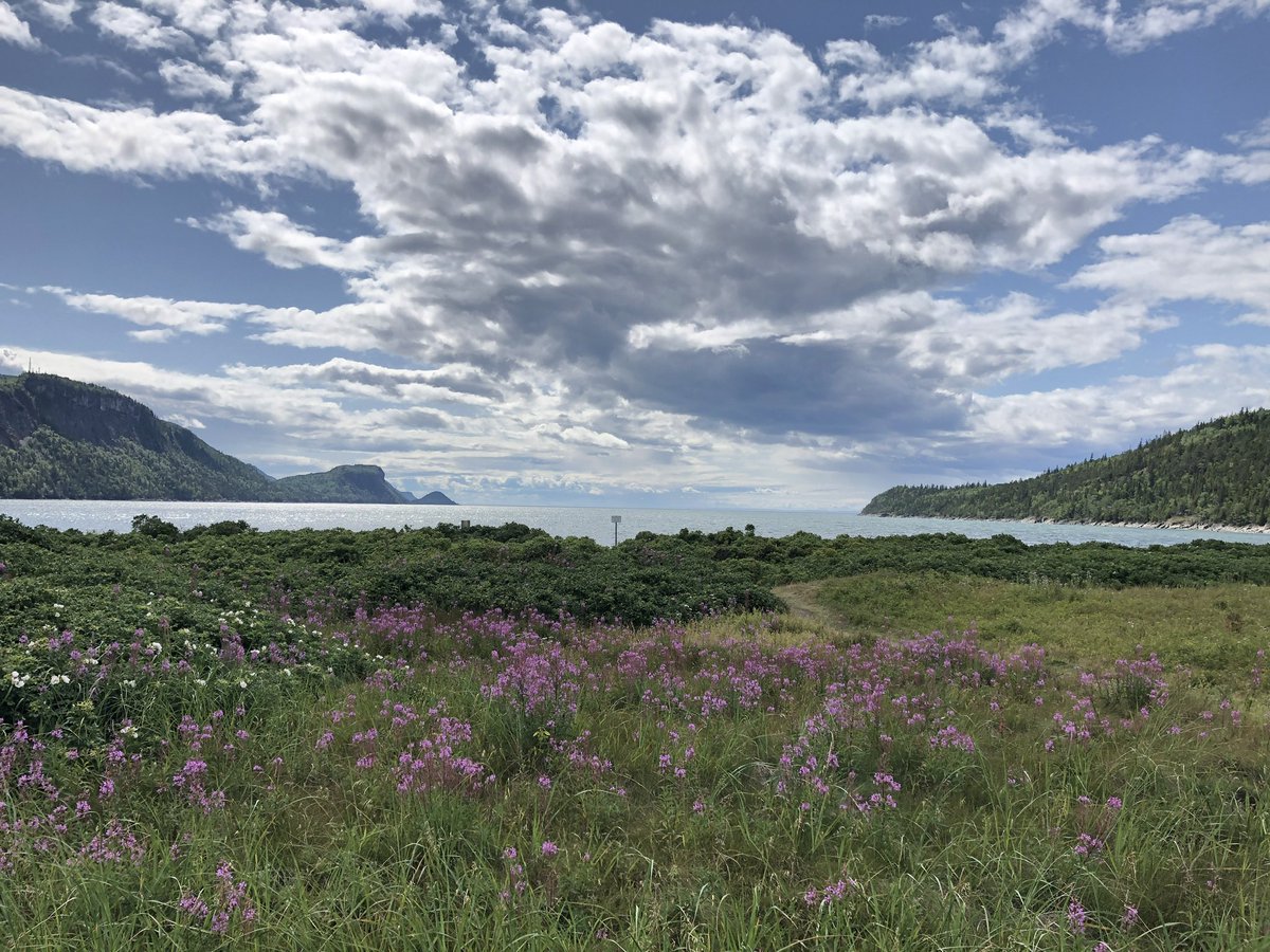 RolandLescure's tweet photo. Le #basdufleuve Saint-Laurent au Québec. Une région superbe, avec un goût de bout du monde et parmi les plus beaux cieux d’Amerique ! Cc @cdube_tresor https://t.co/ggLPLHOcUZ