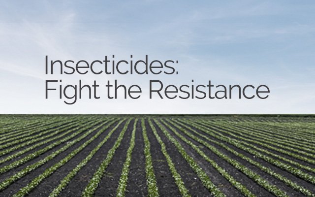 CottonCultivated tweet media