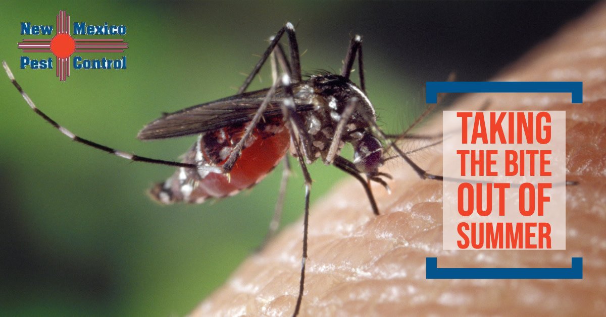 If mosquitos and other pests are putting the bite on your summer, call us today! #newmexicopestcontrol 
tinyurl.com/y6fkup8h