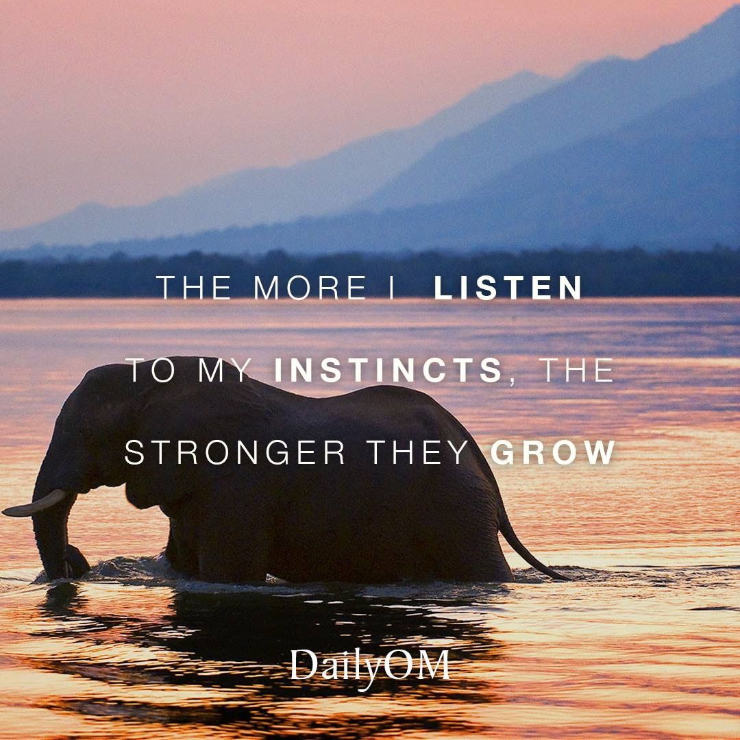 UnbridledChange's tweet photo. #UnbridledChange #hope #healing #health #support #growth #nonprofitorganization #coaching #michellehollingbrooks #quote #quotes #qotd https://t.co/zJgKbETxfL