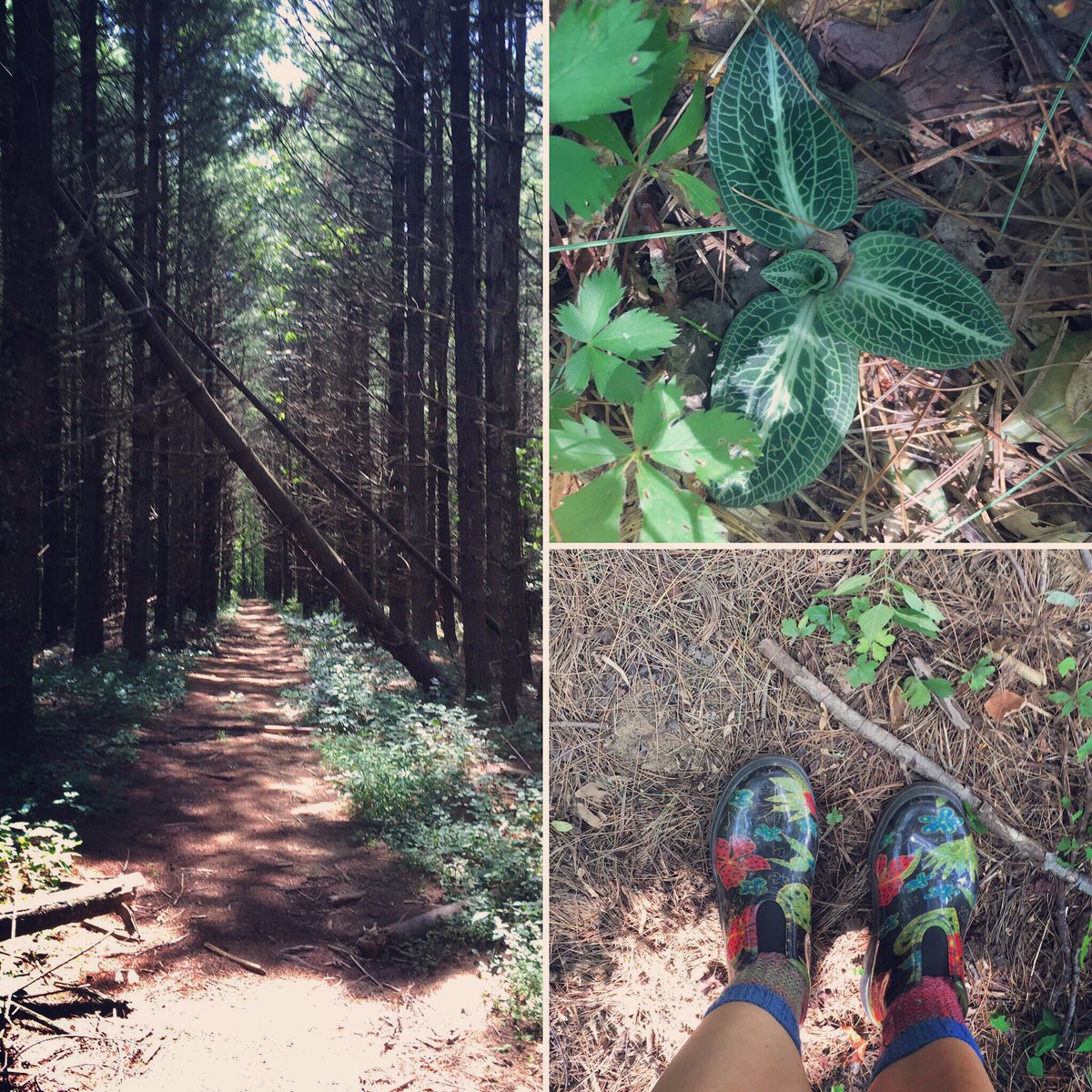 Jenskie_Science's tweet photo. Happy New School Year! 3rd day of school, 1st of many nature hikes in #environmentalscienceclass https://t.co/UMrbHYdG9l