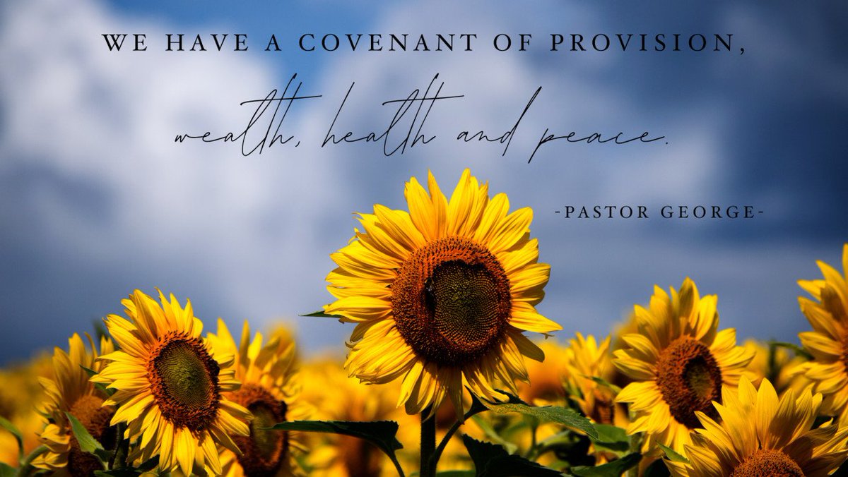 CopelandNetwork's tweet image. THE BLESSING empowers you to prosper in every area of life. Our God is not a withholding God. His desire is for us to prosper spirit, soul and body. He wants you healthy, wealthy and wise! #Godismysource #BVOV