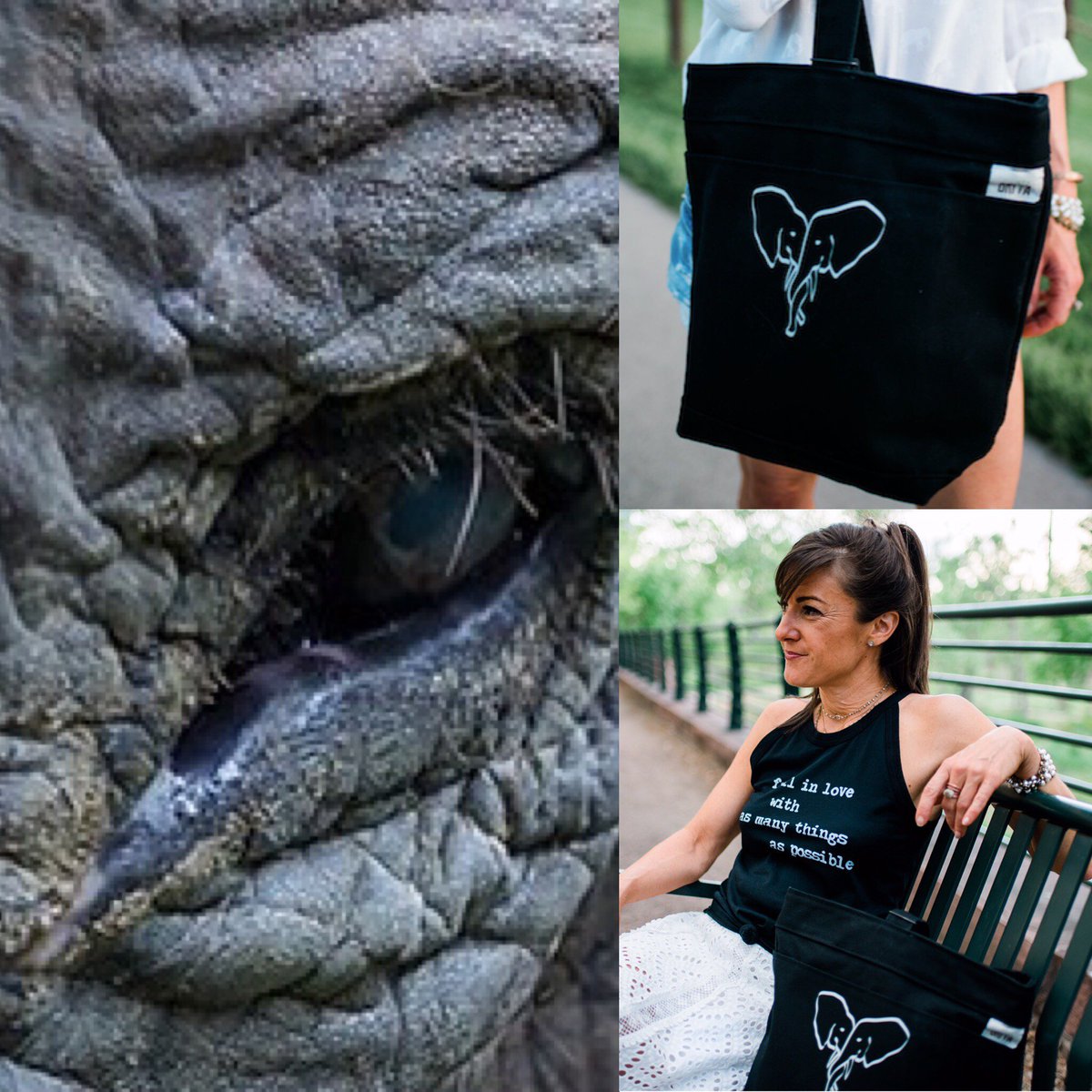 BriyaBags's tweet photo. Briya supports organizations working to protect wildlife and improve quality of life for communities across the globe. A bag for you, a future for them.
Shop our collection at https://t.co/bVOU1RPLRf
#briyabags #socialenterprise #elelphantrescue #wildlifeprotection #veganproducts https://t.co/uZIn9V6eOa