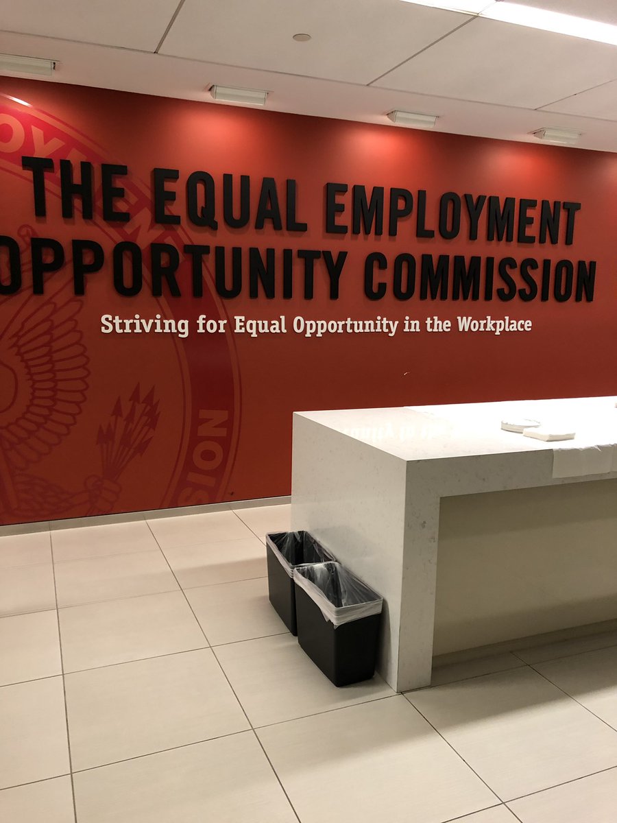 metaediscovery's tweet photo. We had an inspiring day at the EEOC. There was a thoughtful exchange of experiences and ideas. Development through dialogue is the path to progress! @RachelVSee @ArianaT_Metae https://t.co/Or3LUzI6rD