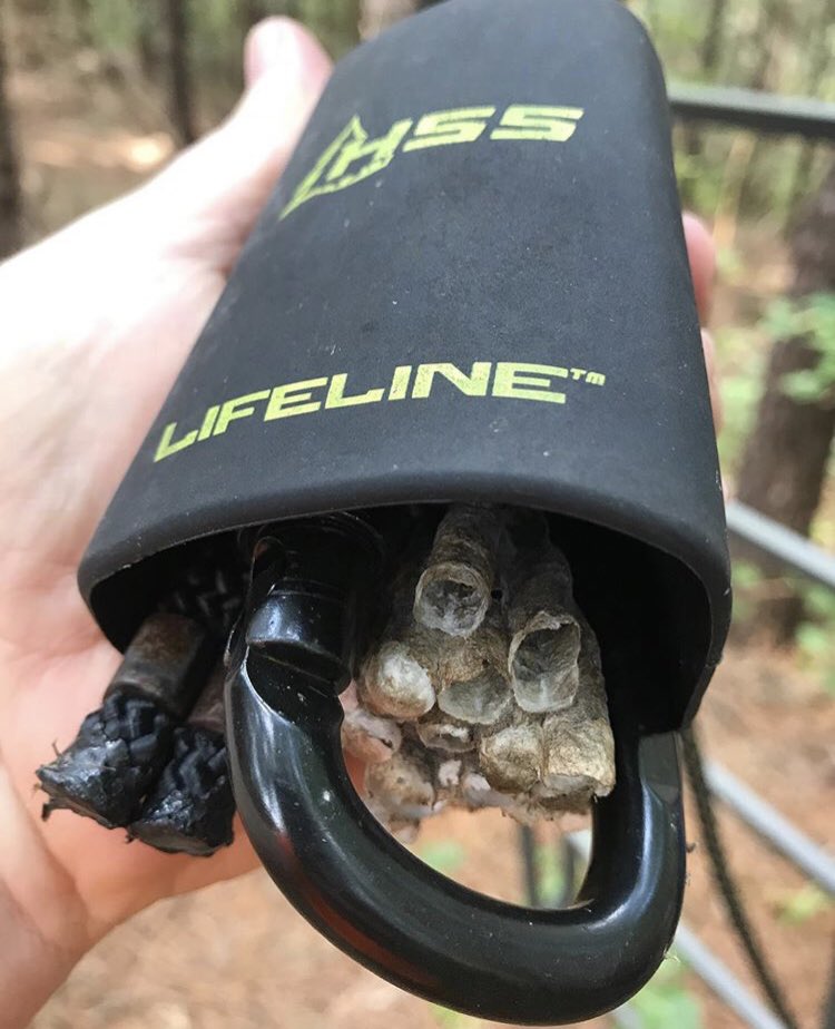 Tree Stand Safety tweet media